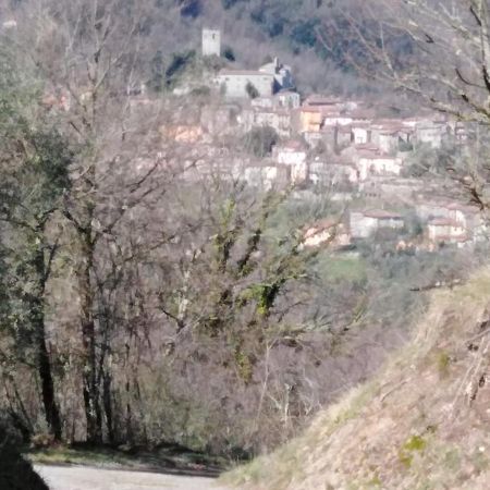 La Difesa Apartment San Romano  Luaran gambar