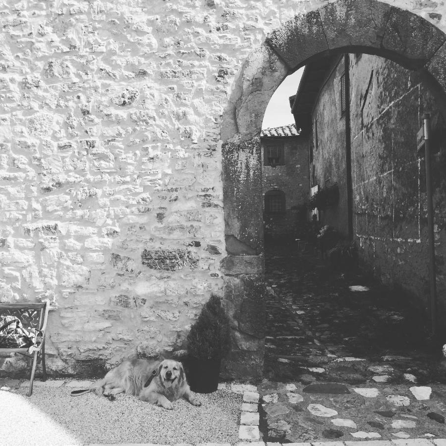 La Difesa Apartment San Romano  Luaran gambar