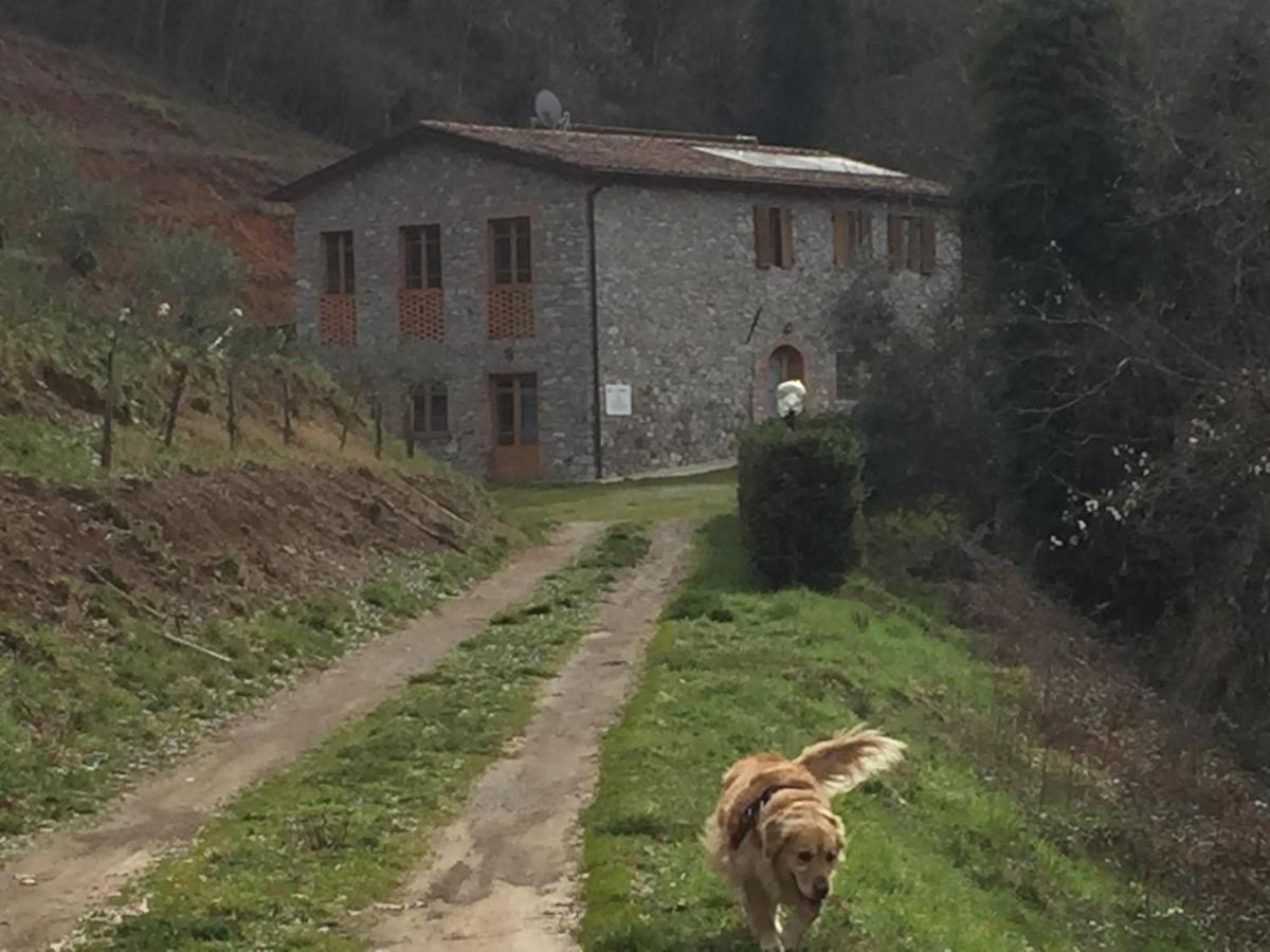 La Difesa Apartment San Romano  Luaran gambar