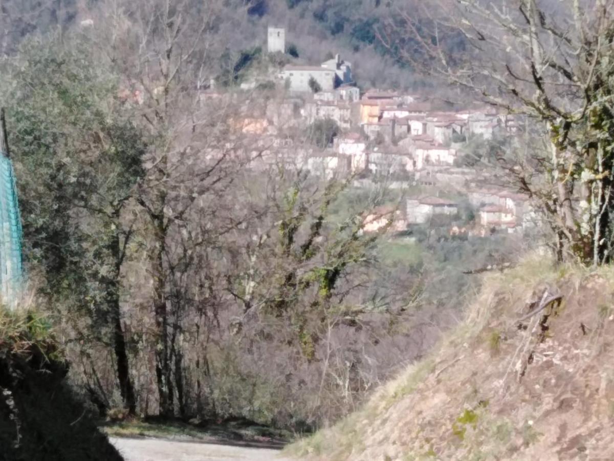 La Difesa Apartment San Romano  Luaran gambar